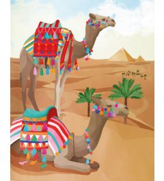 Kleurrijke Kamelen Kunstdruk 40x50cm