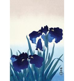 Ohara Koson Iris Flowers Poster 61x91.5cm