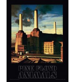 Pink Floyd Animals Art Print 30x40cm