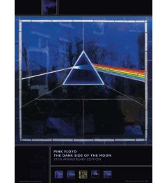 Pink Floyd Dark Side 30th Anniversary Art Print 30x40cm