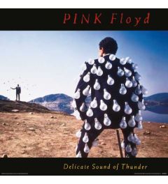 Pink Floyd Delicate Sound of Thunder Album Cover 30.5x30.5cm