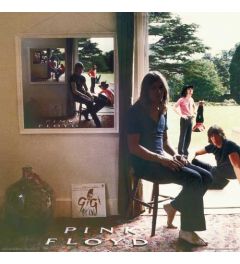 Pink Floyd Ummagumma Album Cover 30.5x30.5cm