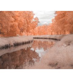 Autumn Flow Kunstdruk