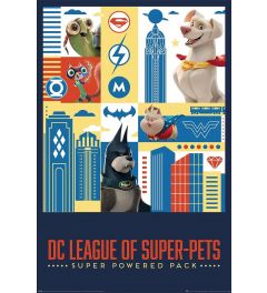 DC League of Super Pets Poster 61x91.5cm