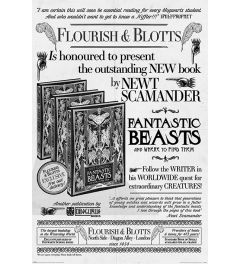 Fantastic Beasts 2 Flourish & Blotts Poster 61x91.5cm