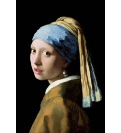 Meisje Met De Parel van Johannes Vermeer Poster 61x91.5cm