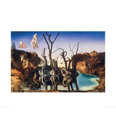 Salvador Dali Swans Reflecting Elephants Art Print 60x80cm