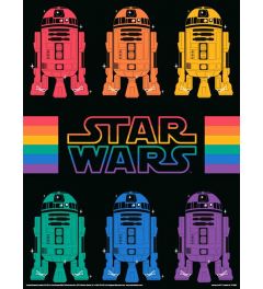 Star Wars Pride R2D2 Rainbow Art Print 30x40cm