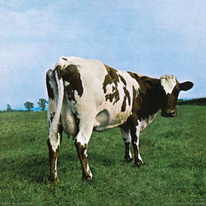 Pink Floyd Atom Heart Mother Album Cover 30.5x30.5cm