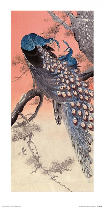Ohara Koson Two Peacocks on Tree Branch Art Print 30x60cm